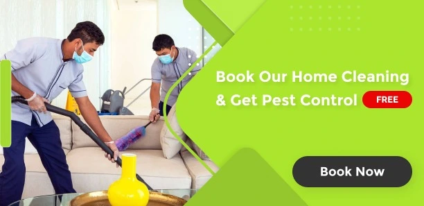 pest_control_offer